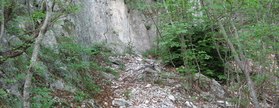 Monte Nerone Sentiero 21 - immagine 5