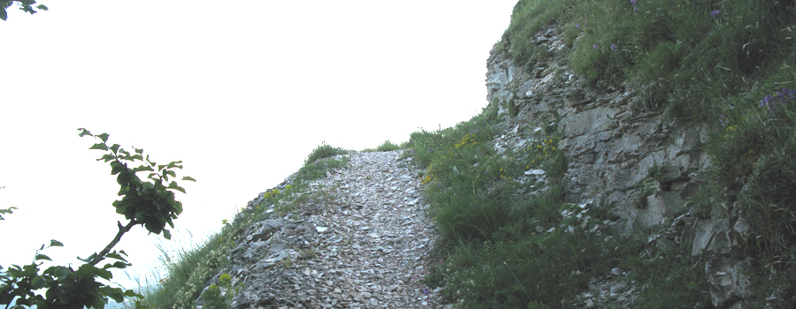 Monte Nerone Sentiero 27 - immagine 4