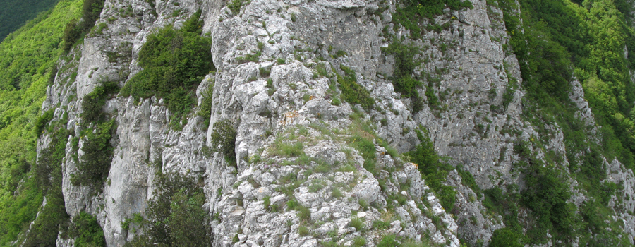 Monte Catria Sentiero 29 - immagine 8