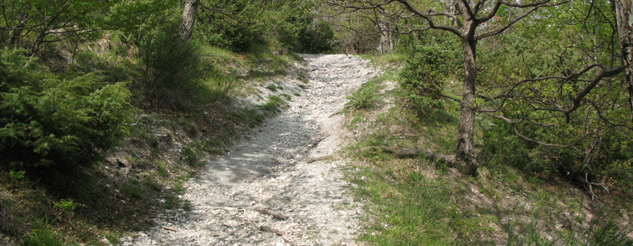 Monte Nerone Sentiero 32 - immagine 3