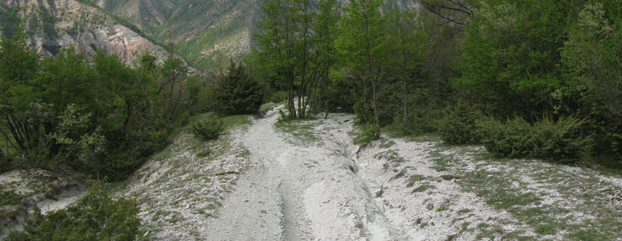 Monte Nerone Sentiero 32 - immagine 4