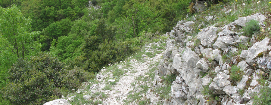 Monte Nerone Sentiero 32 - immagine 8