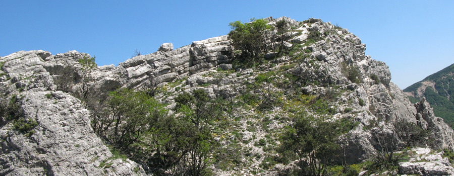 Monte di Montiego Sentiero 5 - immagine 12 (cresta Balza della Penna)