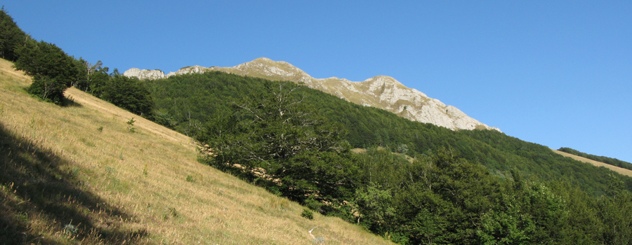 Monte Catria Sentiero 53 - immagine 3 (vista Balza degli Spicchi)