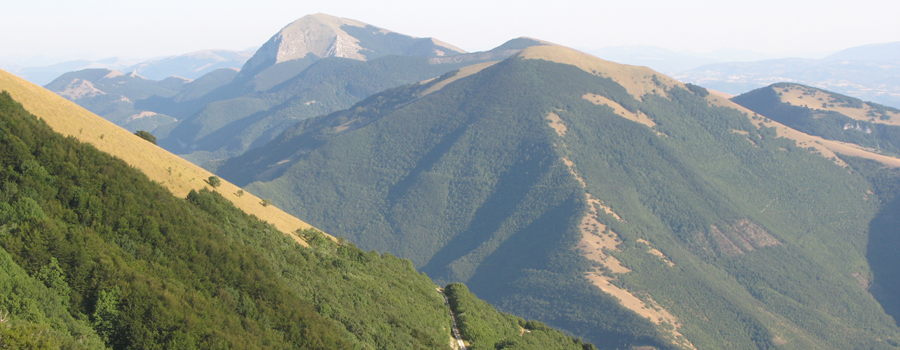 Monte Catria Sentiero 53 - immagine 4