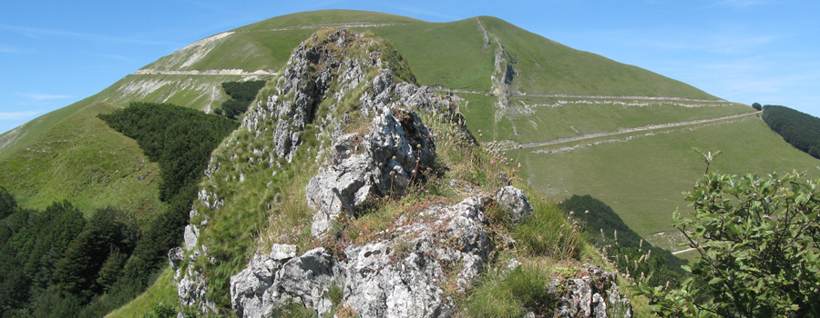 Monte Catria Sentiero 56 - immagine 6 (Balze degli Spicchi)