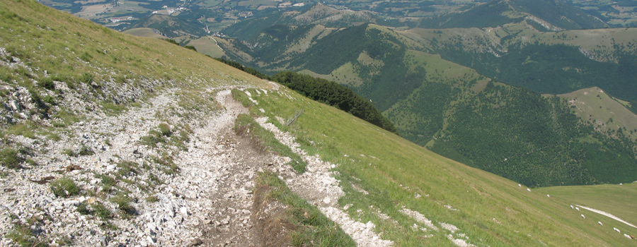 Monte Catria Sentiero 56 - immagine 11