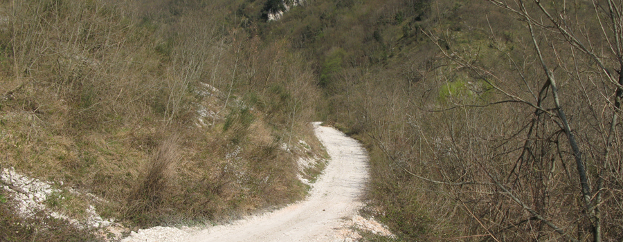 Monte Catria Sentiero 59 - immagine 3