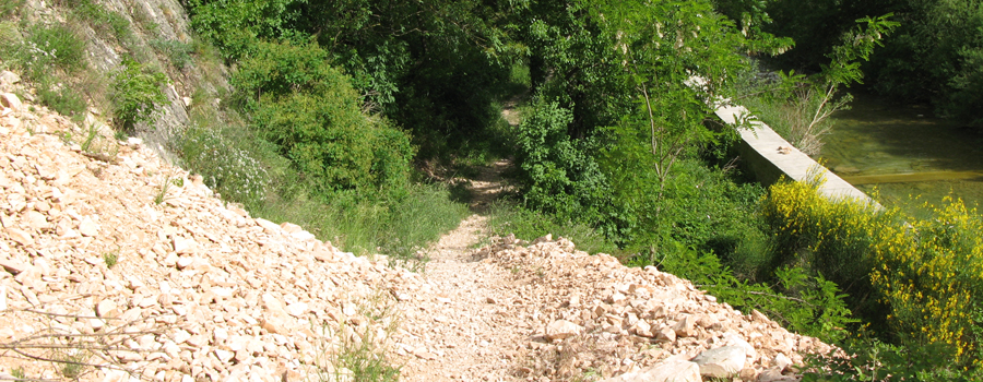 Monte Nerone Sentiero 6 - immagine 1
