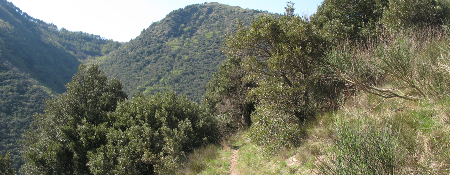 Monte Catria Sentiero 60 - immagine 4