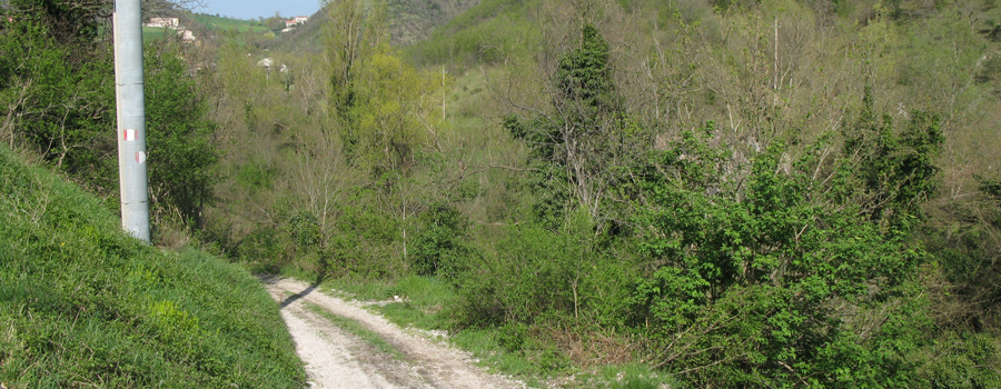 Monte Catria Sentiero 61 - immagine 1