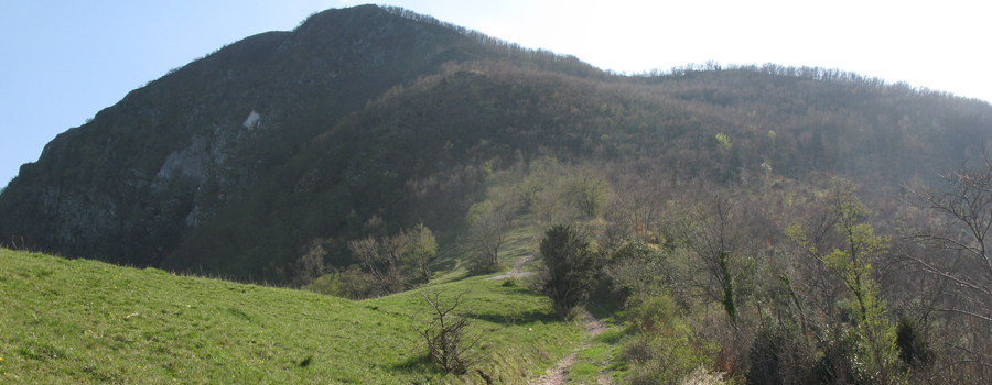 Monte Catria Sentiero 61 - immagine 6 (Monte Schioppettino)