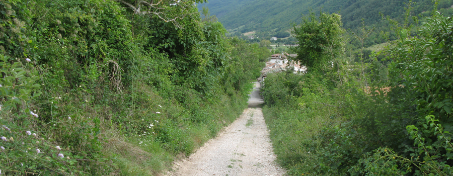 Monte Catria Sentiero 68 - immagine 4
