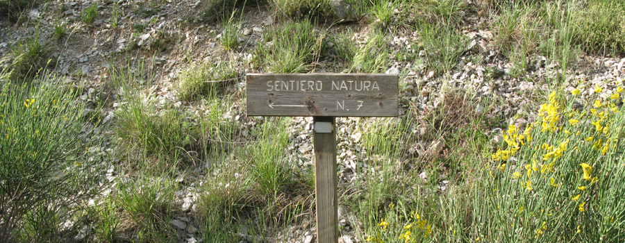 Monte Nerone Sentiero 7 - immagine 5