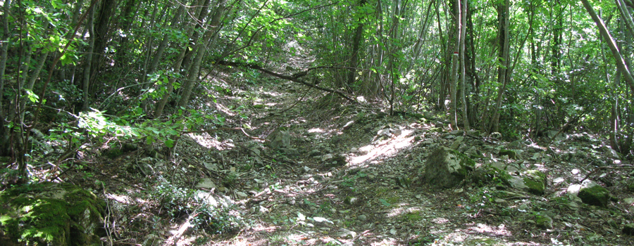 Monte Petrano Sentiero delle Ammoniti - immagine 7