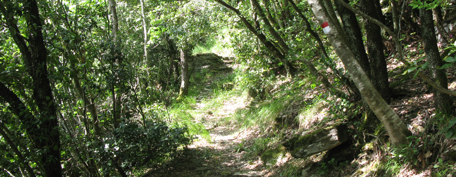 Monte Petrano Sentiero delle Ammoniti - immagine 12