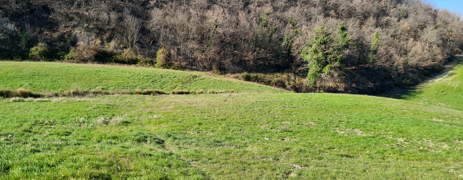 Prato nella zona nord delle Cesane