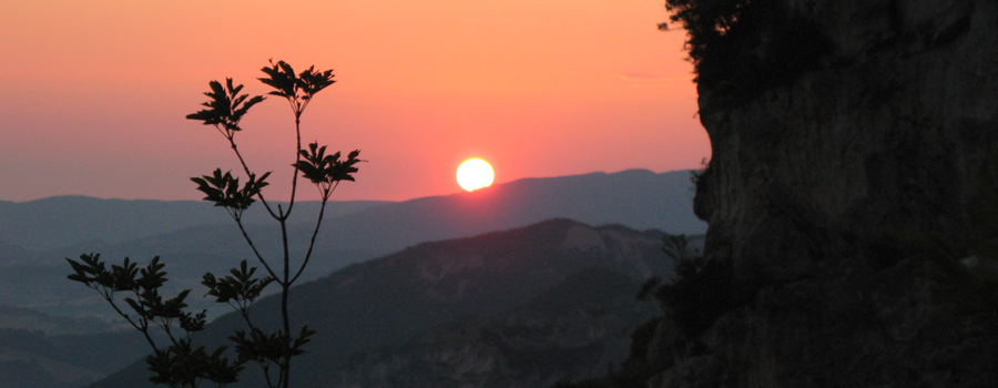 Alba dalla Balza Forata