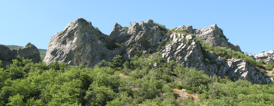 Monte Nerone Fosso dell'Eremo