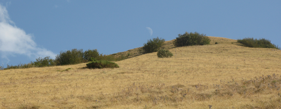 Monte Nerone prato e Luna