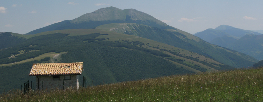 Monte Acuto dal Petrano