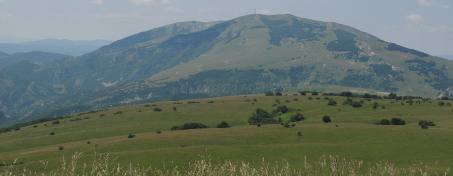 Monte Nerone dal Petrano