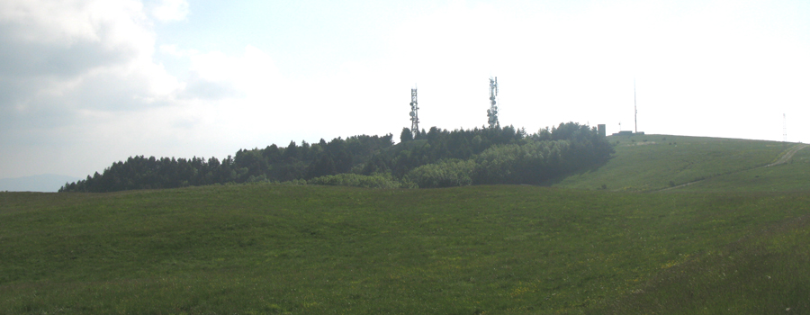Vetta del Monte Carpegna