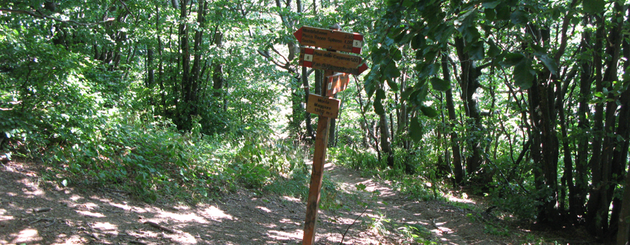 Alpe della Luna Sentiero 00 - immagine 9 (Monte Maggiore)