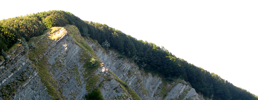 Alpe della Luna Sentiero 00 - immagine 11 (Ripa della Luna)