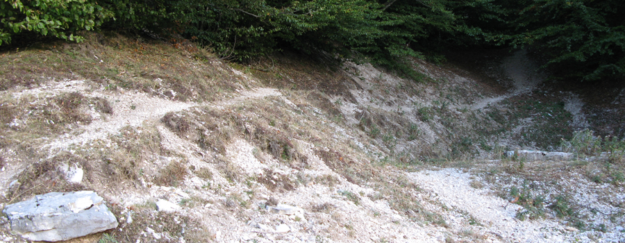 Monte Nerone Sentiero 1 - immagine 12