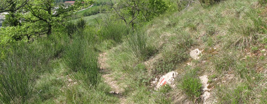 Monte di Montiego Sentiero 10 - immagine 1