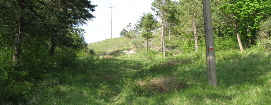 Monte di Montiego Sentiero 10 - immagine 11