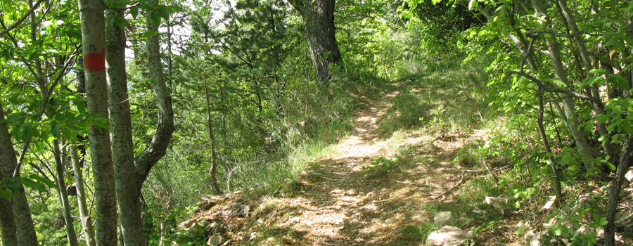 Monte di Montiego Sentiero 10 - immagine 2