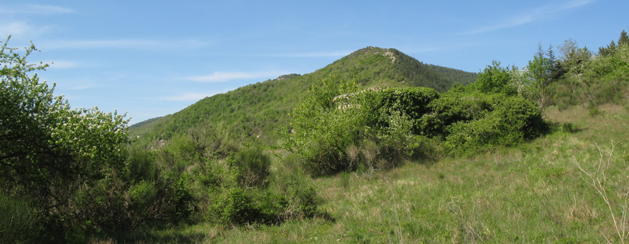 Monte di Montiego Sentiero 10 - immagine 3