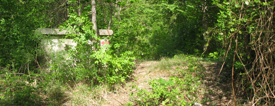 Monte di Montiego Sentiero 10 - immagine 5