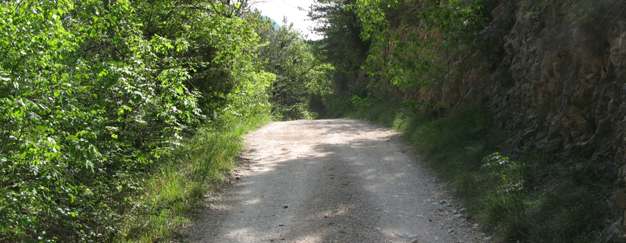 Monte di Montiego Sentiero 10 - immagine 6