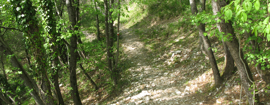Monte di Montiego Sentiero 10 - immagine 8
