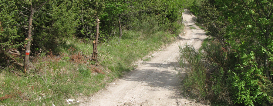 Monte di Montiego Sentiero 10 - immagine 9