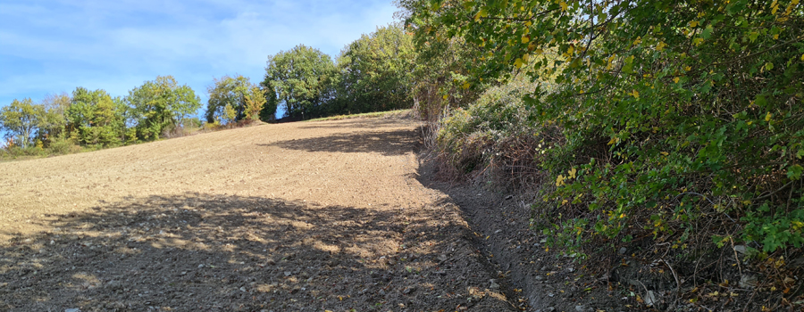 Parco Sasso Simone e Simoncello Sentiero 100 - immagine 4