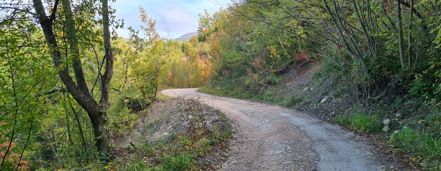 Parco Sasso Simone e Simoncello Sentiero 100 - immagine 6a