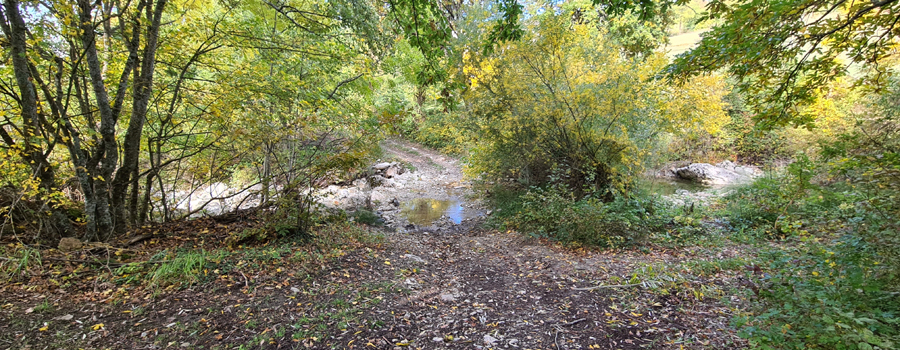 Parco Sasso Simone e Simoncello Sentiero 100 - immagine 7