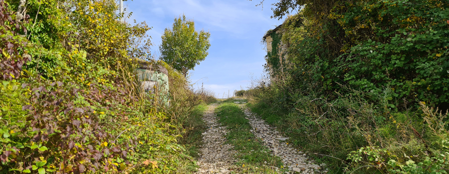 Parco Sasso Simone e Simoncello Sentiero 100 - immagine 8
