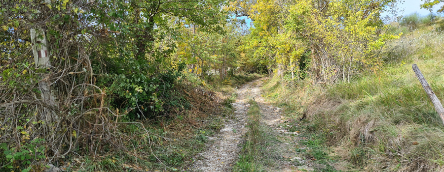 Parco Sasso Simone e Simoncello Sentiero 100 - immagine 9