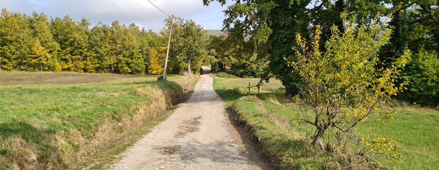 Parco Sasso Simone e Simoncello Sentiero 100 - immagine 10