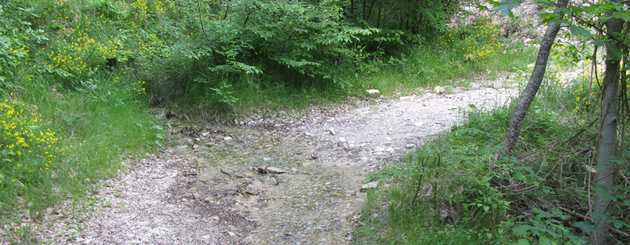 Parco Sasso Simone e Simoncello Sentiero 101 - immagine 3