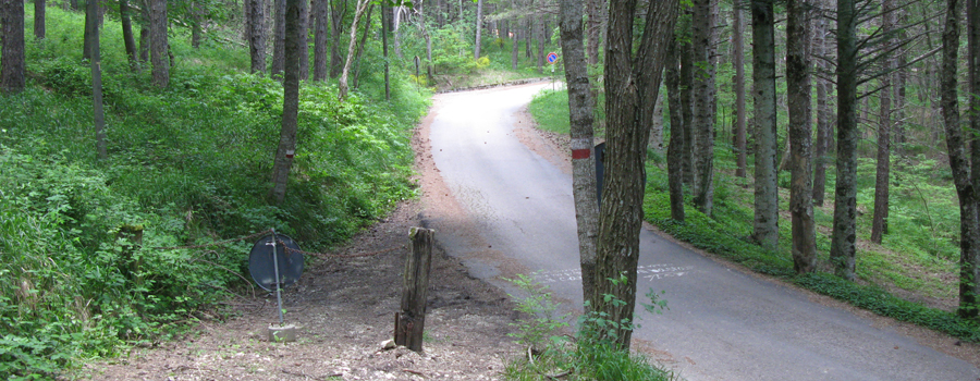 Parco Sasso Simone e Simoncello Sentiero 101 - immagine 6