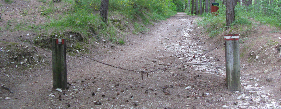 Parco Sasso Simone e Simoncello Sentiero 101 - immagine 8