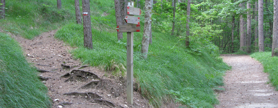 Parco Sasso Simone e Simoncello Sentiero 101 - immagine 9