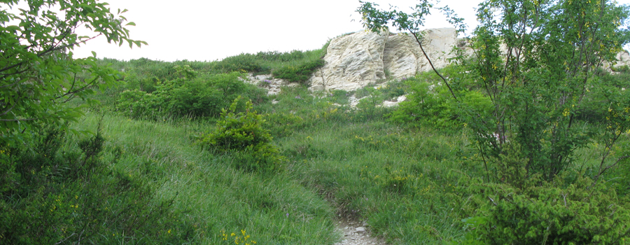 Parco Sasso Simone e Simoncello Sentiero 101 - immagine 11