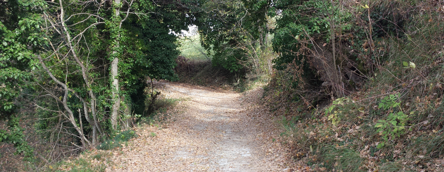 Parco Sasso Simone e Simoncello Sentiero 102 - immagine 2